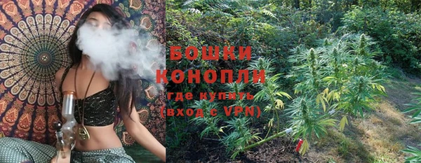 молекула духа Белокуриха