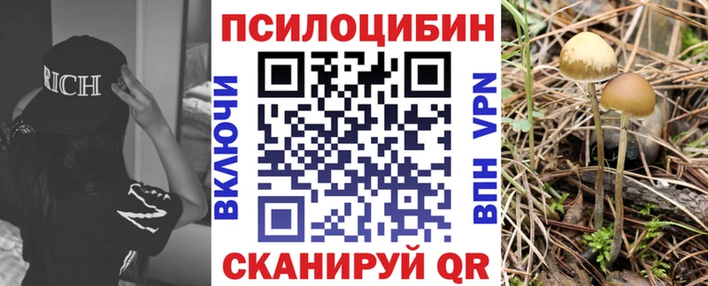цены   Ворсма  KRAKEN зеркало  Псилоцибиновые грибы ЛСД 